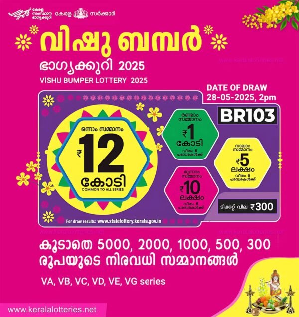 www.keralalotteryonlinebuy.com